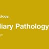 2019 Classic Lectures in Pathology What You Need to Know Pancreatobiliary Pathology