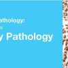 2019 Classic Lectures in Pathology What You Need to Know Genitourinary Pathology