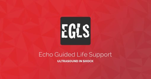 ECHO-Guided Life Support Using ultrasound to categorise shock and guide initial management (CME VIDEOS)