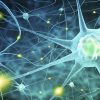 Harvard Neurology for the Non-Neurologist 2022