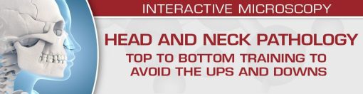 USCAP Head and Neck Pathology: Top to Bottom Training to Avoid the Ups and Downs 2022 (CME VIDEOS)