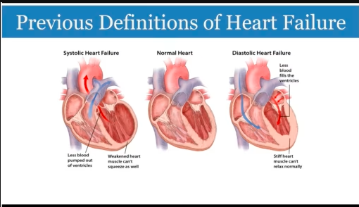 Continuing Education Company Primary Care Medicine On Demand, Volume 6.1 2022