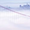 UCSF CME COVID-19 for Clinicians: Up-to-the-Minute Advances 2022