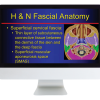 American Roentgen Ray Society The Suprahyoid Neck Pathology Through Anatomy 2023