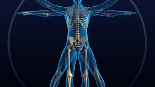 Harvard 44th Annual Intensive Review of Internal Medicine 2021 (Videos)