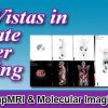New Vistas in Prostate Cancer Imaging 2022