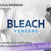 Bleach veneers – Viktor Scherbakov