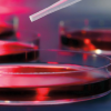 32nd Annual Mayo Clinic Hematology-Oncology Reviews 2023 (Videos + Slides)