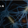 Harvard Neuropsychiatry: A Comprehensive Update 2024