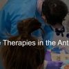 VISTA Institute for Therapeutic Innovations Regenerative Therapies in the Anterior Maxilla 2021