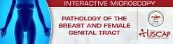 USCAP Pathology of the Breast and Female Genital Tract 2025