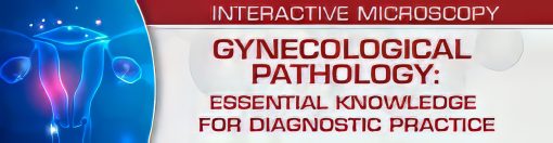 USCAP Urologic Pathology Practice in the Eyes of Genitourinary Pathology Society (GUPS) Presidents 2025
