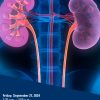 Michigan Medicine State of the Art Kidney and Pancreas Transplantation 2024