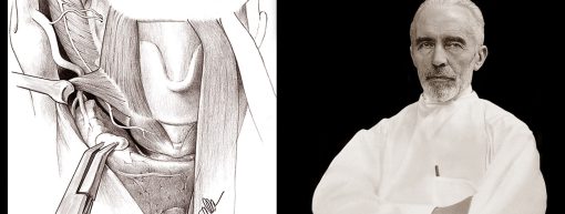 Harvard Surgery of the Thyroid and Parathyroid Gland 2022