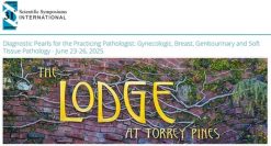 Diagnostic Pearls for the Practicing Pathologist 2025 (Videos with subtitles + Slides)