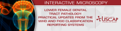 USCAP Lower Female Genital Tract Pathology Practical Updates from the WHO and FIGO Classification and Reporting Systems 2025