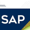 CathSAP 2025 – Updated February 2025 (Videos + Audios + Slides + Quiz)