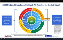 Continuing Education Company Primary Care On Demand Diabetes Volume 3 2023