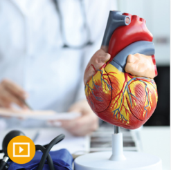 The Brigham Board Review and Comprehensive Update in Cardiology 2023