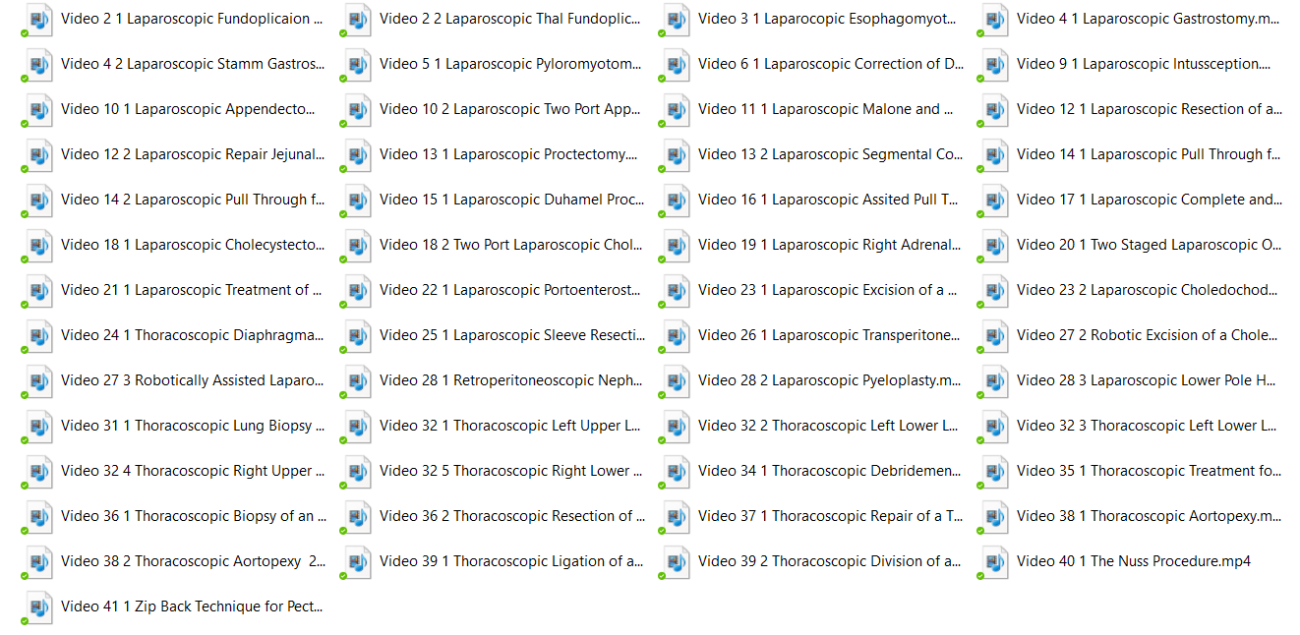 Atlas of Pediatric Laparoscopy and Thoracoscopy, 2nd Edition (Videos)