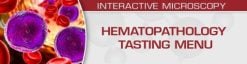 USCAP Hematopathology Tasting Menu: A Sampling of Delightful Diagnostic Challenges 2021