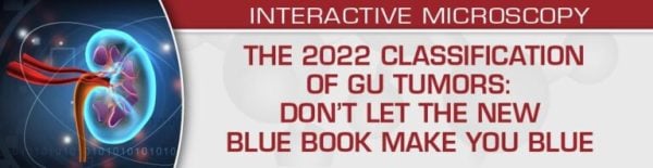 USCAP The 2022 Classification of GU Tumors: Don’t Let the New Blue Book Make You Blue (CME VIDEOS)