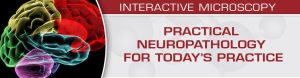 USCAP Practical Neuropathology for Today’s Practice – Interactive Microscopy 2019