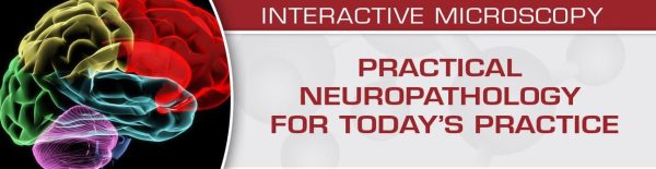 USCAP Practical Neuropathology for Today’s Practice – Interactive Microscopy 2019