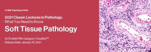 2021 Classic Lectures in Pathology: What You Need to Know: Soft Tissue Pathology