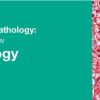 DocmedED 2018 Classic Lectures in Pathology What You Need to Know Liver Pathology