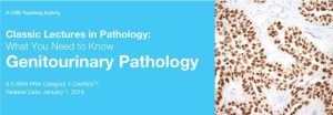 2019 Classic Lectures in Pathology What You Need to Know Genitourinary Pathology