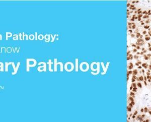 2019 Classic Lectures in Pathology What You Need to Know Genitourinary Pathology