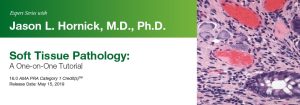 2019 Expert Series with Jason L. Hornick, M.D., Ph.D.: Soft Tissue Pathology: A One-On-One Tutorial