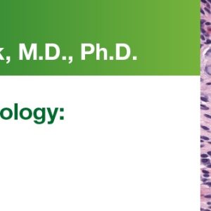 2019 Expert Series with Jason L. Hornick, M.D., Ph.D.: Soft Tissue Pathology: A One-On-One Tutorial