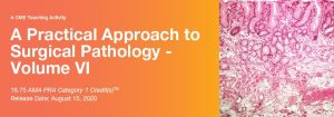 2020 A Practical Approach to Surgical Pathology – Volume VI (CME VIDEOS)