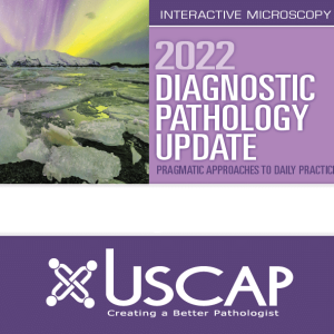 2022 Diagnostic Pathology Update: Pragmatic Approaches to Daily Practice ( VIDEOS)