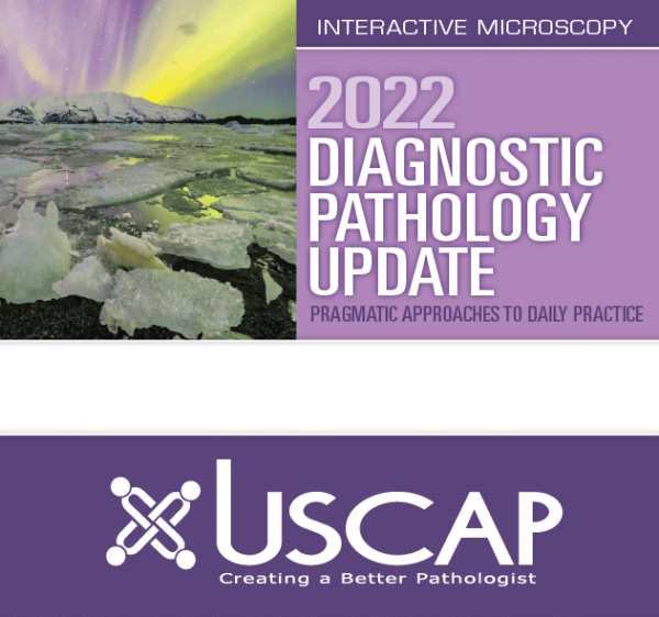 2022 Diagnostic Pathology Update: Pragmatic Approaches to Daily Practice ( VIDEOS)