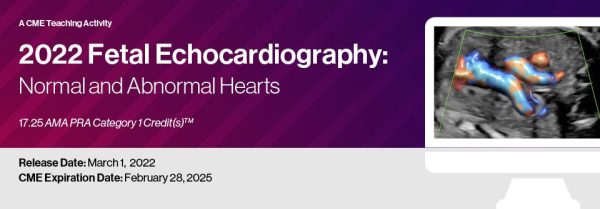 2022 Fetal Echocardiography: Normal and Abnormal Hearts