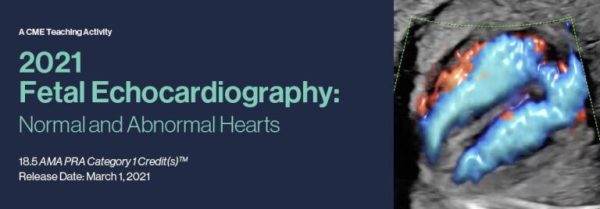 2021 Fetal Echocardiography: Normal and Abnormal Hearts (CME VIDEOS)