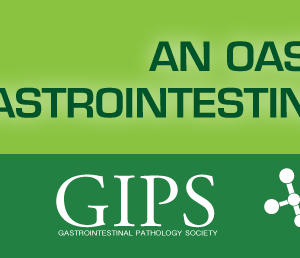 An Oasis of Gastrointestinal Pathology 2020