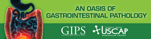 An Oasis of Gastrointestinal Pathology 2020