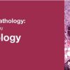 Classic Lectures in Pathology What You Need to Know Breast Pathology