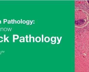 Classic Lectures in Pathology: What You Need to Know: Head & Neck Pathology 2019