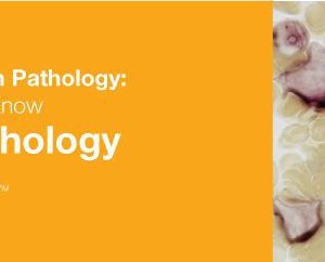 Classic Lectures in Pathology: What You Need to Know: Hematopathology 2019