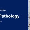 Classic Lectures in Pathology What You Need to Know Soft Tissue Pathology 2019