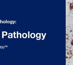 Classic Lectures in Pathology What You Need to Know Soft Tissue Pathology 2019