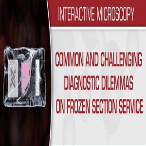 Common and Challenging Diagnostic Dilemmas on Frozen Section Service 2020 (CME VIDEOS)