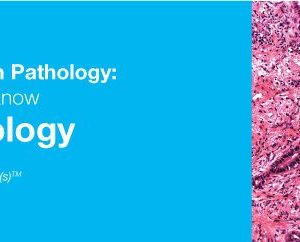 DocmedED 2018 Classic Lectures in Pathology What You Need to Know Lung Pathology