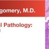 DocmedED 2018 Expert Series with Elizabeth Montgomery, M.D. Gastrointestinal Pathology A One-On-One Tutorial