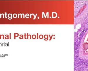 DocmedED 2018 Expert Series with Elizabeth Montgomery, M.D. Gastrointestinal Pathology A One-On-One Tutorial